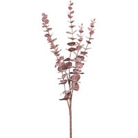 Eukalyptus Zweig "Burgundy" von Pink
