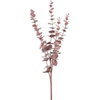 Eukalyptus Zweig "Burgundy" Eukalyptus Zweig "Burgundy" von DPI