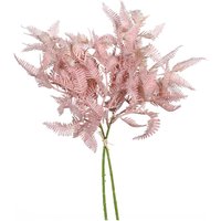 Farn Zweig "Rosee" Farn Zweig "Rosee" von DPI