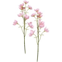 Glockenblumen Zweig von Pink