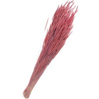 Trockenblumen "Phleum Pratensis" - Rosa von Othmar Decorations