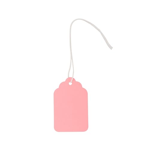 Pinladies Preisschilder mit Schnur befestigt, rosa Markierungsschilder, kleines Papier, blanko, Etiketten für Kleidung, Schmuck, Geschenke, handgefertigt, 1000 Stück Pinladies Preisschilder mit Schnur befestigt, rosa Markierungsschilder, kleines Papier, blanko, Etiketten für Kleidung, Schmuck, Geschenke, handgefertigt, 1000 Stück von Pinladies