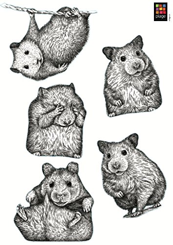 Plage Wandaufkleber-Kinder-kleine Hamster Dekoration für Sockel, 2 Blätter 29,7 x 21 cm, Vinyl, grau, 29.7 x 0.1 x 21 cm von Plage