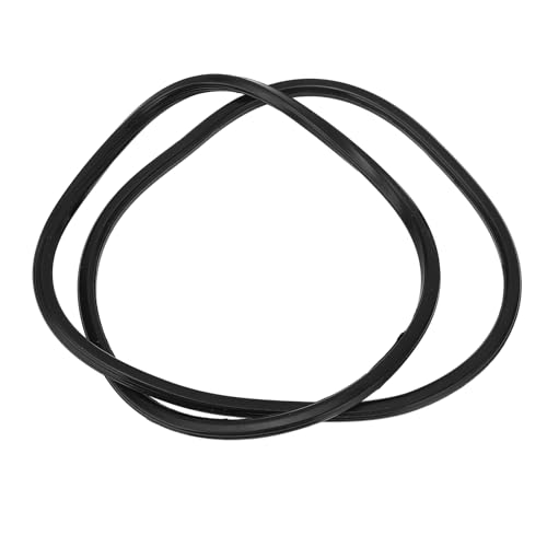 Plyisty Nachhaltige Poolfilter -Ersatzverbindungen, Langfristige Zuverlässige Dichtungen für den C7030 C4030 Badeanzug, Filterteile Am Schwimmbad von Plyisty