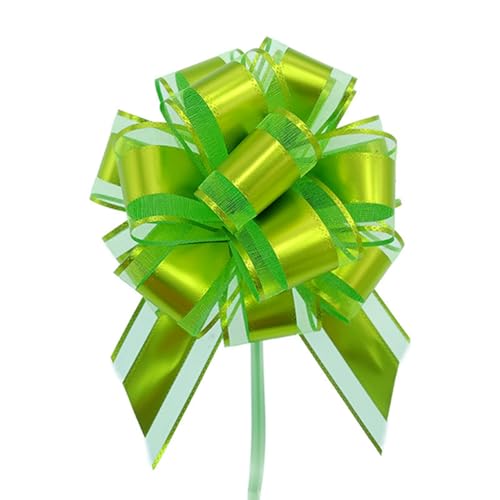 Große Schleife Geschenkschleife 15x20cm Geschenk Ziehschleifen Geschenk Schleife mit Geschenkbänder Dekoschleifen Pull Bow Auto Deko Bögen für Geschenken, Hochzeit, Party,Geburtstag Hellgrün 2 Stück Große Schleife Geschenkschleife 15x20cm Geschenk Ziehschleifen Geschenk Schleife mit Geschenkbänder Dekoschleifen Pull Bow Auto Deko Bögen für Geschenken, Hochzeit, Party,Geburtstag Hellgrün 2 Stück von Pmnzdy