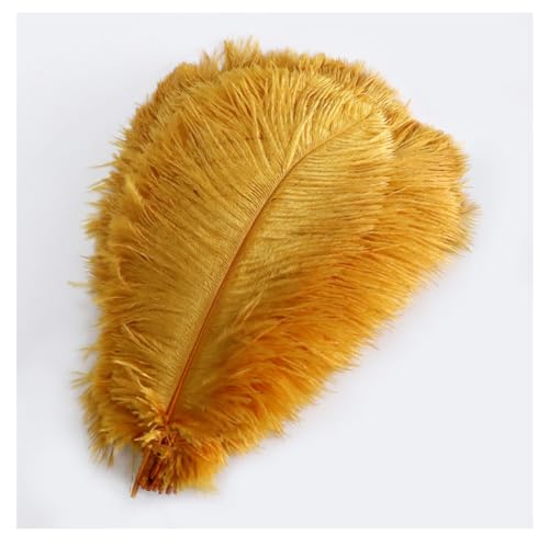Pmnzdy Straußenfedern 10 STK 15-20cm Bunte Strauß Feder Plume Natürliche Federn zum Basteln DIY Dekoration Straussenfedern für Haus Hochzeit Party Fest Tisch Esstische Karneval Traumfänger Deko Gold von Pmnzdy