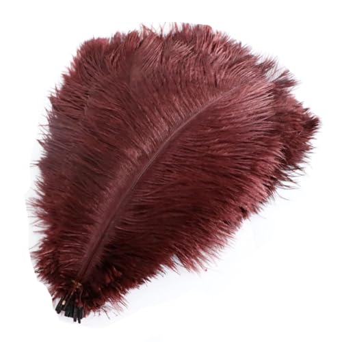 Pmnzdy Straußenfedern 10 STK 15-20cm Bunte Strauß Feder Plume Natürliche Federn zum Basteln DIY Dekoration Straussenfedern für Haus Hochzeit Party Fest Tisch Esstische Karneval Traumfänger Deko Braun von Pmnzdy