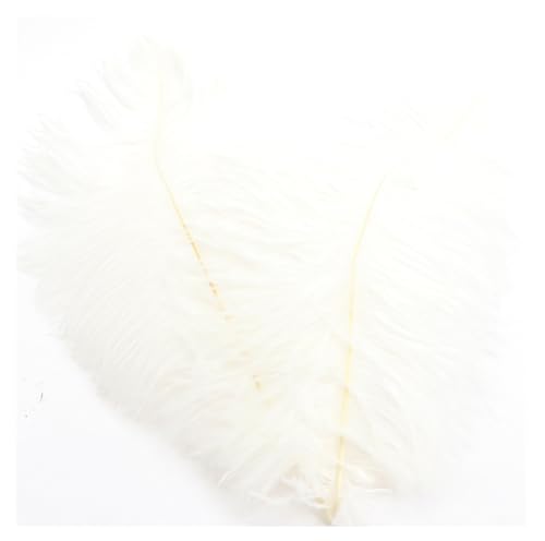 Pmnzdy Straußenfedern 10 STK 30-35cm Bunte Strauß Feder Plume Natürliche Federn zum Basteln DIY Dekoration Straussenfedern für Haus Hochzeit Party Fest Tisch Esstische Karneval Traumfänger Deko Weiß von Pmnzdy