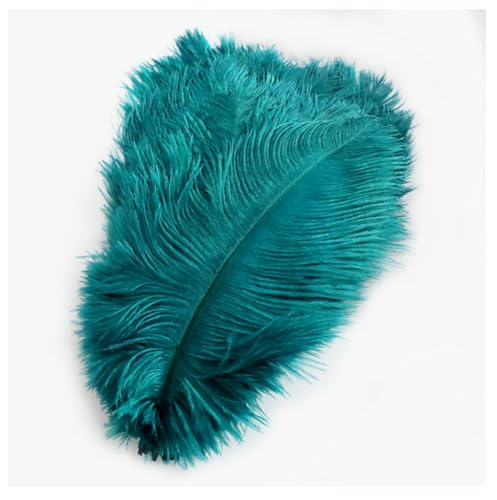 Straußenfedern 10 STK 15-20cm Bunte Strauß Feder Plume Natürliche Federn zum Basteln DIY Dekoration Straussenfedern für Haus Hochzeit Party Fest Tisch Esstische Karneval Traumfänger Deko Smaragdgrün von Pmnzdy