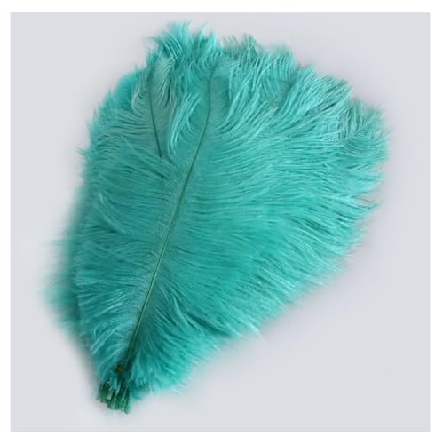Straußenfedern 10 STK 15-20cm Bunte Strauß Feder Plume Natürliche Federn zum Basteln DIY Dekoration Straussenfedern für Haus Hochzeit Party Fest Tisch Esstische Karneval Traumfänger Deko Mintgrün von Pmnzdy