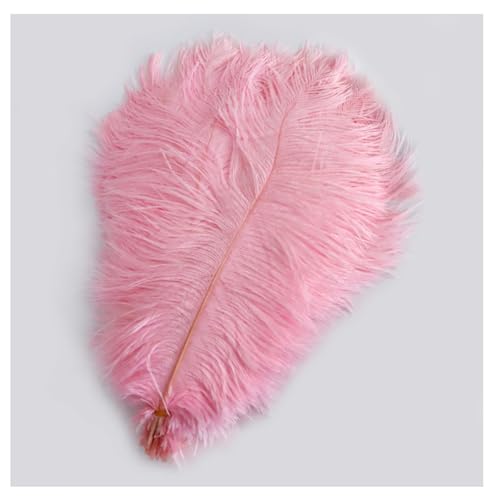 Straußenfedern 10 STK 15-20cm Bunte Strauß Feder Plume Natürliche Federn zum Basteln DIY Dekoration Straussenfedern für Haus Hochzeit Party Fest Tisch Esstische Karneval Traumfänger Deko Hellrosa von Pmnzdy