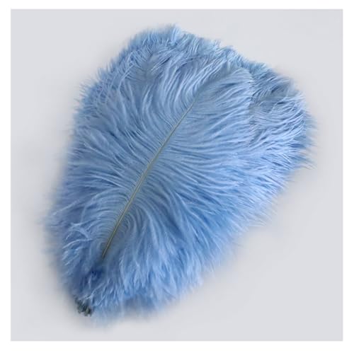 Straußenfedern 10 STK 30-35cm Bunte Strauß Feder Plume Natürliche Federn zum Basteln DIY Dekoration Straussenfedern für Haus Hochzeit Party Fest Tisch Esstische Karneval Traumfänger Deko Himmelblau von Pmnzdy