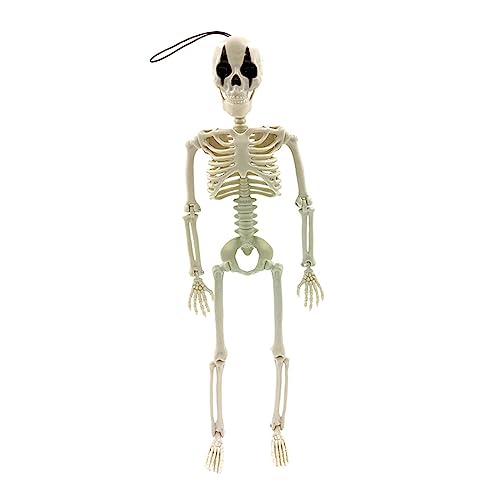 Schreckliche Skelette für Halloween Skelett Spielzeug mit langem hängenden Seil für eine Schreckliche Skelette für Halloween Skelett Spielzeug mit langem hängenden Seil für eine von Pocoiau