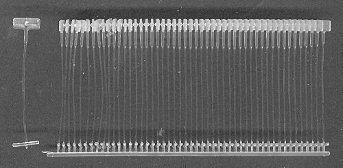 5000 Heftfäden 40mm standard für Etikettierpistolen z.B. Banok 303s, Arrow 9s, von Pokornys