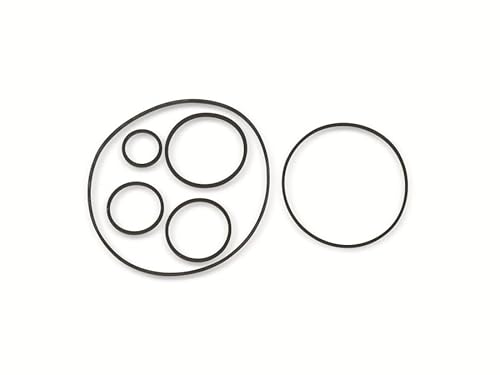 Vierkant-Antriebsriemen, 1,2 mm, Ø 13 mm, 20 mm Vierkant-Antriebsriemen, 1,2 mm, Ø 13 mm, 20 mm von Pollin-Choice