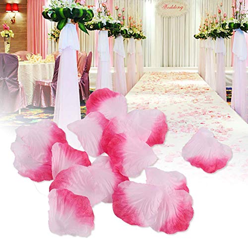 Pongnas Rosenblätter, Gefälschte Rose -Pedale Blütenblätter Künstlicher Seidenblume Rosenblätter 1000 PCS Seidenblütenblätter Simulation Roseleaf für Romantische Nacht Hochzeitstisch Romantische Pongnas Rosenblätter, Gefälschte Rose -Pedale Blütenblätter Künstlicher Seidenblume Rosenblätter 1000 PCS Seidenblütenblätter Simulation Roseleaf für Romantische Nacht Hochzeitstisch Romantische von Pongnas