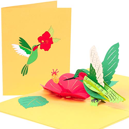 PopLife Kolibri Klappkarte zum Valentinstag für sie-3D Glücklicher Jahrestag, Blume Klappkarte zum Geburtstag für Mama, danke, gute Besserung, Mitgefühl -Flach gefaltet- für Schwester, Tochter, Oma PopLife Kolibri Klappkarte zum Valentinstag für sie-3D Glücklicher Jahrestag, Blume Klappkarte zum Geburtstag für Mama, danke, gute Besserung, Mitgefühl -Flach gefaltet- für Schwester, Tochter, Oma von PopLife