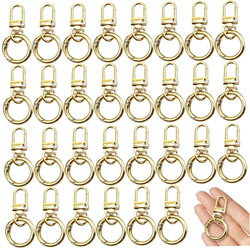 30 pcs Schlüsselbundclip, 360-Grad-Rotatable-Schwenk-Schnapphaken mit runden Ring, Zinklegungsschurkenklauen für Schlüsselanhänger, Lanyards, Rucksäcke, Haustierleine, DIY-Handwerk von Porgeel