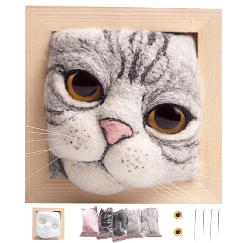 Porgeel Nadel -Filgel -Kits, DIY -Nadel -Filzlieferungen, Starter -Kit mit Katzenmodell, Schaumstoffmatte, Strick -Kit für Anfängerstil 1 von Porgeel