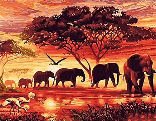 Diamond Painting Set, Bild mit Motiv Elefanten in der Savanne und Zubehör, Größe ca. 44 x 33 cm, Bastelset zum Malen mit Glitzersteinchen für Kinder ab 5 Jahren von Pracht Creatives Hobby