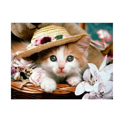 Diamond Painting Set, Bild mit Motiv Katze mit Hut und Zubehör, Bastelset zum Malen mit Glitzersteinchen, für Kinder ab 5 Jahren von Pracht Creatives Hobby
