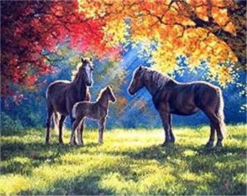 Diamond Painting Set, Bild mit Motiv Pferde im Herbst und Zubehör, Größe ca. 35 x 25 cm, Bastelset zum Malen mit Glitzersteinchen für Kinder ab 5 Jahren von Pracht Creatives Hobby