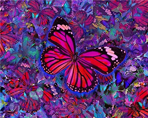 Diamond Painting Set, Bild mit Motiv Schmetterling in Pink und Zubehör, Größe ca. 35 x 25 cm, Bastelset zum Malen mit Glitzersteinchen für Kinder ab 5 Jahren von Pracht Creatives Hobby
