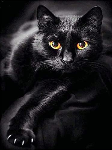 Diamond Painting Set, Bild mit Motiv Schwarze Katze und Zubehör, Größe ca. 35 x 25 cm, Bastelset zum Malen mit Glitzersteinchen für Kinder ab 5 Jahren Diamond Painting Set, Bild mit Motiv Schwarze Katze und Zubehör, Größe ca. 35 x 25 cm, Bastelset zum Malen mit Glitzersteinchen für Kinder ab 5 Jahren von Pracht Creatives Hobby