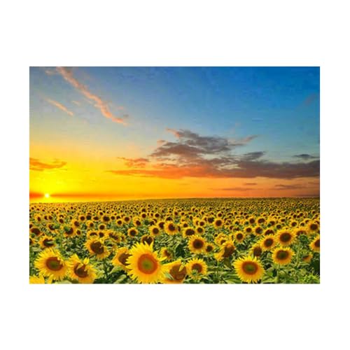 Diamond Painting Set, Bild mit Motiv Sonnenblumen und Zubehör, Bastelset zum Malen mit Glitzersteinchen, für Kinder ab 5 Jahren Diamond Painting Set, Bild mit Motiv Sonnenblumen und Zubehör, Bastelset zum Malen mit Glitzersteinchen, für Kinder ab 5 Jahren von Pracht Creatives Hobby