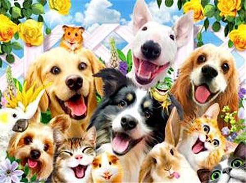 Pracht Creatives Hobby Diamond Painting Set, Bild mit Motiv Tierisches Selfie und Zubehör, Größe ca. 35 x 25 cm, Bastelset zum Malen mit Glitzersteinchen für Kinder ab 5 Jahren von Pracht Creatives Hobby