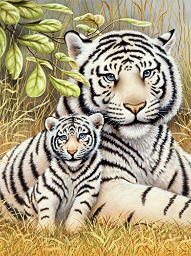 Malen nach Zahlen - Junior "Weiße Tiger", DIY Bild ca. 33 x 24 cm groß, inkl. 7 Acryl-Farben, Pinsel und bedrucktem Malkarton, ideal für Anfänger und Kinder ab 8 Jahre Malen nach Zahlen - Junior "Weiße Tiger", DIY Bild ca. 33 x 24 cm groß, inkl. 7 Acryl-Farben, Pinsel und bedrucktem Malkarton, ideal für Anfänger und Kinder ab 8 Jahre von Pracht Creatives Hobby