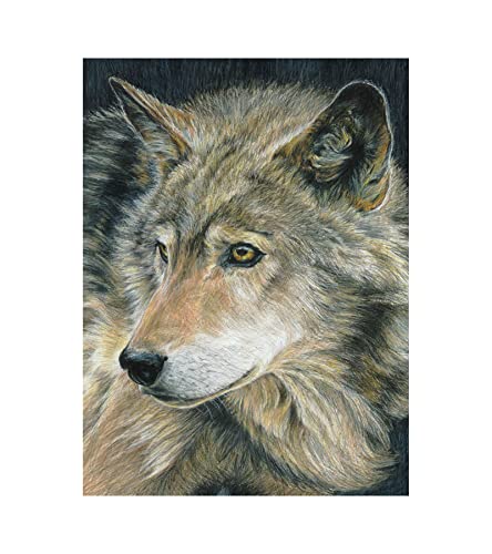 Royal & Langnickel - Malen nach Zahlen Buntstifte Wolf, inklusive Spitzer, für Erwachsene und Kinder ab 8 Jahren von Pracht Creatives Hobby