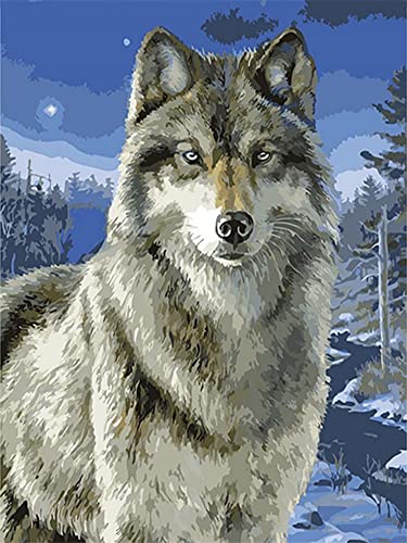 Diamond Painting Set, Bild mit Motiv Wolf und Zubehör, Größe ca. 33 x 44 cm, Bastelset zum Malen mit Glitzersteinchen für Kinder ab 5 Jahren von Pracht Creatives Hobby