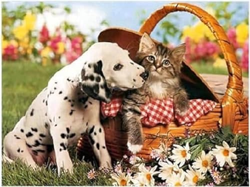 Diamond Painting Set, Bild mit Motiv Dalmatiner und Zubehör, Bastelset zum Malen mit Glitzersteinchen, für Kinder ab 5 Jahren Diamond Painting Set, Bild mit Motiv Dalmatiner und Zubehör, Bastelset zum Malen mit Glitzersteinchen, für Kinder ab 5 Jahren von Pracht Creatives Hobby