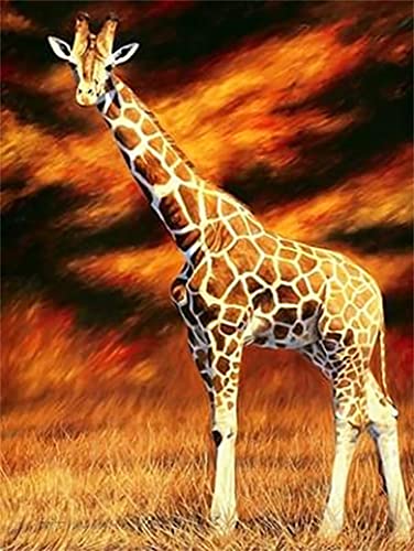 Diamond Painting Set, Bild mit Motiv Giraffe und Zubehör, Größe ca. 25 x 35 cm, Bastelset zum Malen mit Glitzersteinchen für Kinder ab 5 Jahren Diamond Painting Set, Bild mit Motiv Giraffe und Zubehör, Größe ca. 25 x 35 cm, Bastelset zum Malen mit Glitzersteinchen für Kinder ab 5 Jahren von Pracht Creatives Hobby