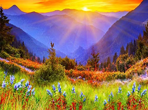 Diamond Painting Set, Bild mit Motiv Sonnenaufgang und Zubehör, Größe ca. 35 x 25 cm, Bastelset zum Malen mit Glitzersteinchen für Kinder ab 5 Jahren Diamond Painting Set, Bild mit Motiv Sonnenaufgang und Zubehör, Größe ca. 35 x 25 cm, Bastelset zum Malen mit Glitzersteinchen für Kinder ab 5 Jahren von Pracht Creatives Hobby