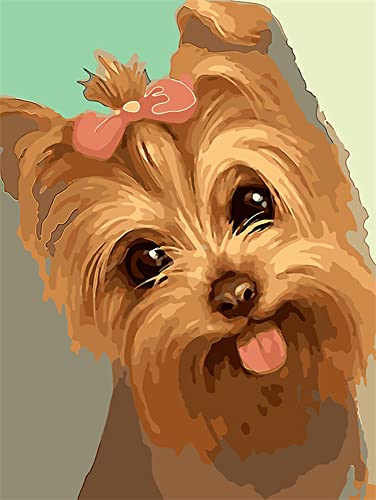 Diamond Painting Set, Bild mit Motiv Yorkshire Terrier und Zubehör, Größe ca. 25 x 35 cm, Bastelset zum Malen mit Glitzersteinchen für Kinder ab 5 Jahren von Pracht Creatives Hobby