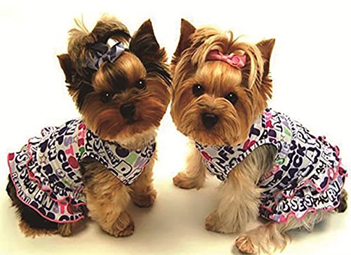Diamond Painting Set, Bild mit Motiv Yorkshire Terrier und Zubehör, Größe ca. 44 x 33 cm, Bastelset zum Malen mit Glitzersteinchen für Kinder ab 5 Jahren Diamond Painting Set, Bild mit Motiv Yorkshire Terrier und Zubehör, Größe ca. 44 x 33 cm, Bastelset zum Malen mit Glitzersteinchen für Kinder ab 5 Jahren von Pracht Creatives Hobby