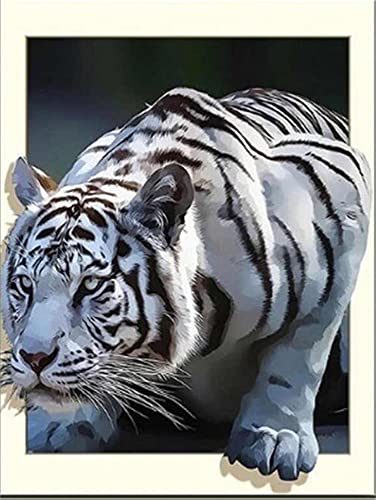 Diamond Painting Set, Bild mit Motiv weißer Tiger und Zubehör, Größe ca. 35 x 25 cm, Bastelset zum Malen mit Glitzersteinchen für Kinder ab 5 Jahren Diamond Painting Set, Bild mit Motiv weißer Tiger und Zubehör, Größe ca. 35 x 25 cm, Bastelset zum Malen mit Glitzersteinchen für Kinder ab 5 Jahren von Pracht Creatives Hobby