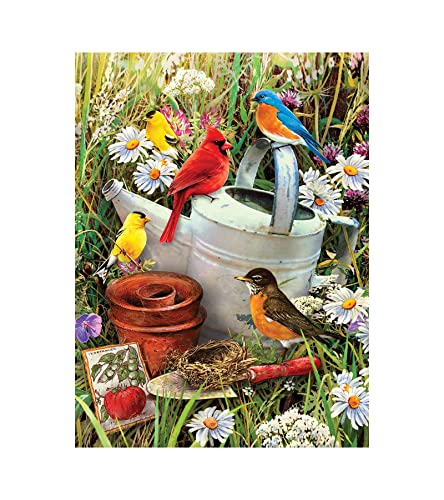 Royal & Langnickel - Malen nach Zahlen Junior Vögel, enthält Farben und Pinsel, für Erwachsene und Kinder ab 8 Jahren von Pracht Creatives Hobby