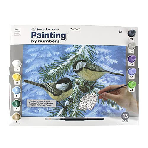 Royal & Langnickel - Malen nach Zahlen Meisen, enthält Farben und Pinsel, für Erwachsene und Kinder ab 8 Jahren von Pracht Creatives Hobby