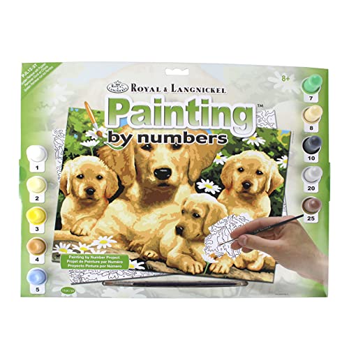 Royal & Langnickel - Malen nach Zahlen Golden Retriever, enthält Farben und Pinsel, für Erwachsene und Kinder ab 8 Jahren von Pracht Creatives Hobby