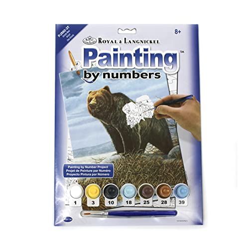 Royal & Langnickel - Malen nach Zahlen Grizzly, enthält Farben und Pinsel, für Erwachsene und Kinder ab 8 Jahren von Pracht Creatives Hobby