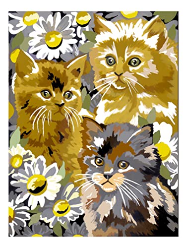 Royal & Langnickel - Malen nach Zahlen Kätzchen mit Blüten, enthält Farben und Pinsel, für Erwachsene und Kinder ab 8 Jahren von Pracht Creatives Hobby