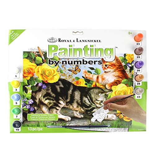 Royal & Langnickel - Malen nach Zahlen Spielende Katzen, enthält Farben und Pinsel, für Erwachsene und Kinder ab 8 Jahren von Pracht Creatives Hobby