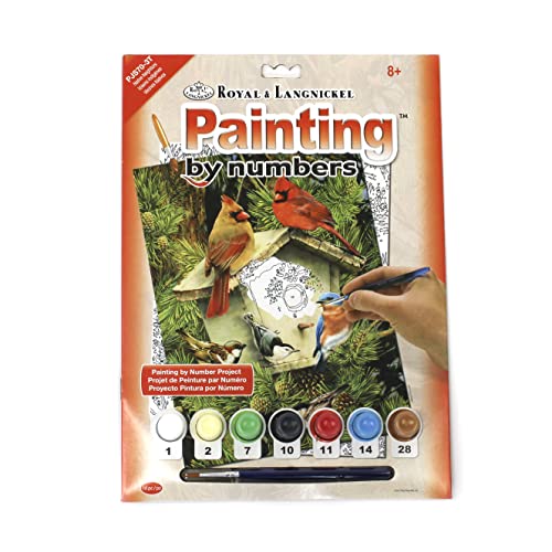 Royal & Langnickel - Malen nach Zahlen Tierische Nachbarn, enthält Farben und Pinsel, für Erwachsene und Kinder ab 8 Jahren von Pracht Creatives Hobby