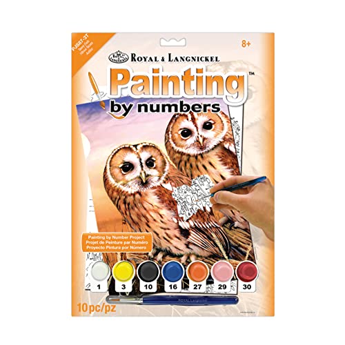 Pracht Creatives Hobby Royal & Langnickel - Malen nach Zahlen Waldkäuze, enthält Farben und Pinsel, für Erwachsene und Kinder ab 8 Jahren von Pracht Creatives Hobby