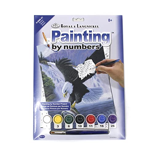 Pracht Creatives Hobby Royal & Langnickel - Malen nach Zahlen Weißkopf-Seeadler, enthält Farben und Pinsel, für Erwachsene und Kinder ab 8 Jahren von Pracht Creatives Hobby