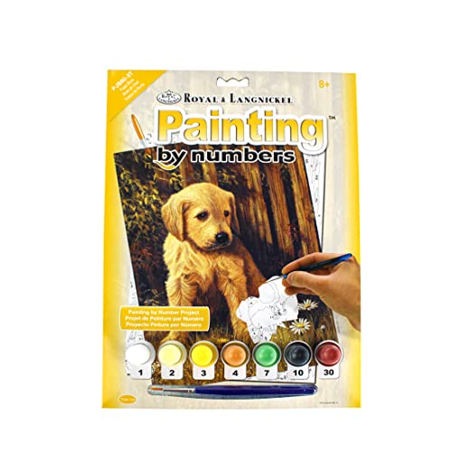 Royal & Langnickel - Malen nach Zahlen Welpe, enthält Farben und Pinsel, für Erwachsene und Kinder ab 8 Jahren von Pracht Creatives Hobby