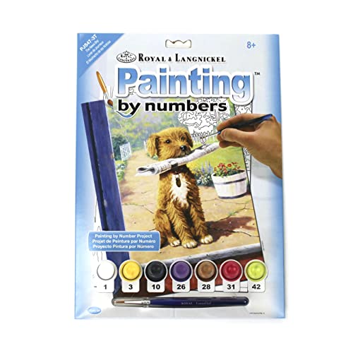 Royal & Langnickel - Malen nach Zahlen Zeitungsjunge, enthält Farben und Pinsel, für Erwachsene und Kinder ab 8 Jahren von Pracht Creatives Hobby